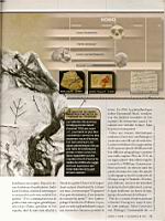 D'ou venons-nous, Science & Vie 1113, 2010-06 (16)